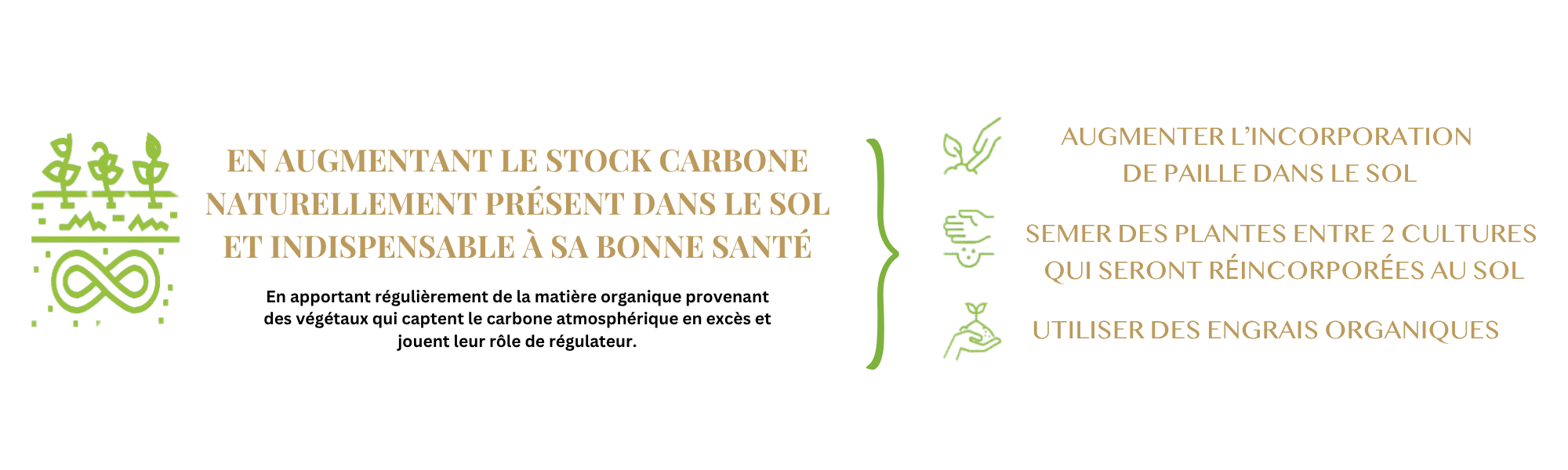 augmenter le stock carbone naturellement